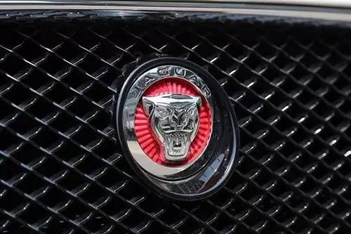 車標(biāo)上的動物都是啥來頭？看完又能出去裝X了