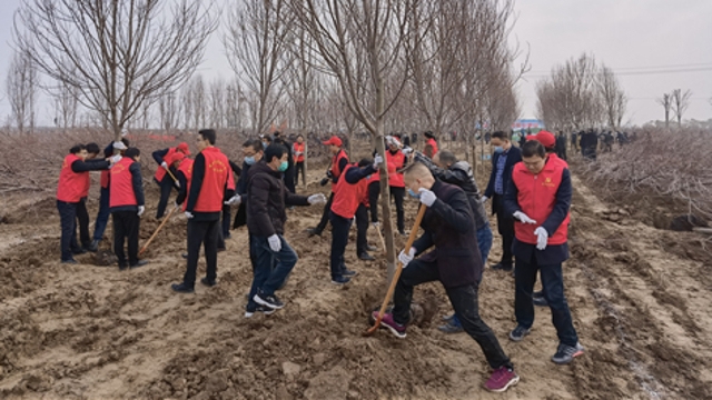 栽下樹苗，留下新綠