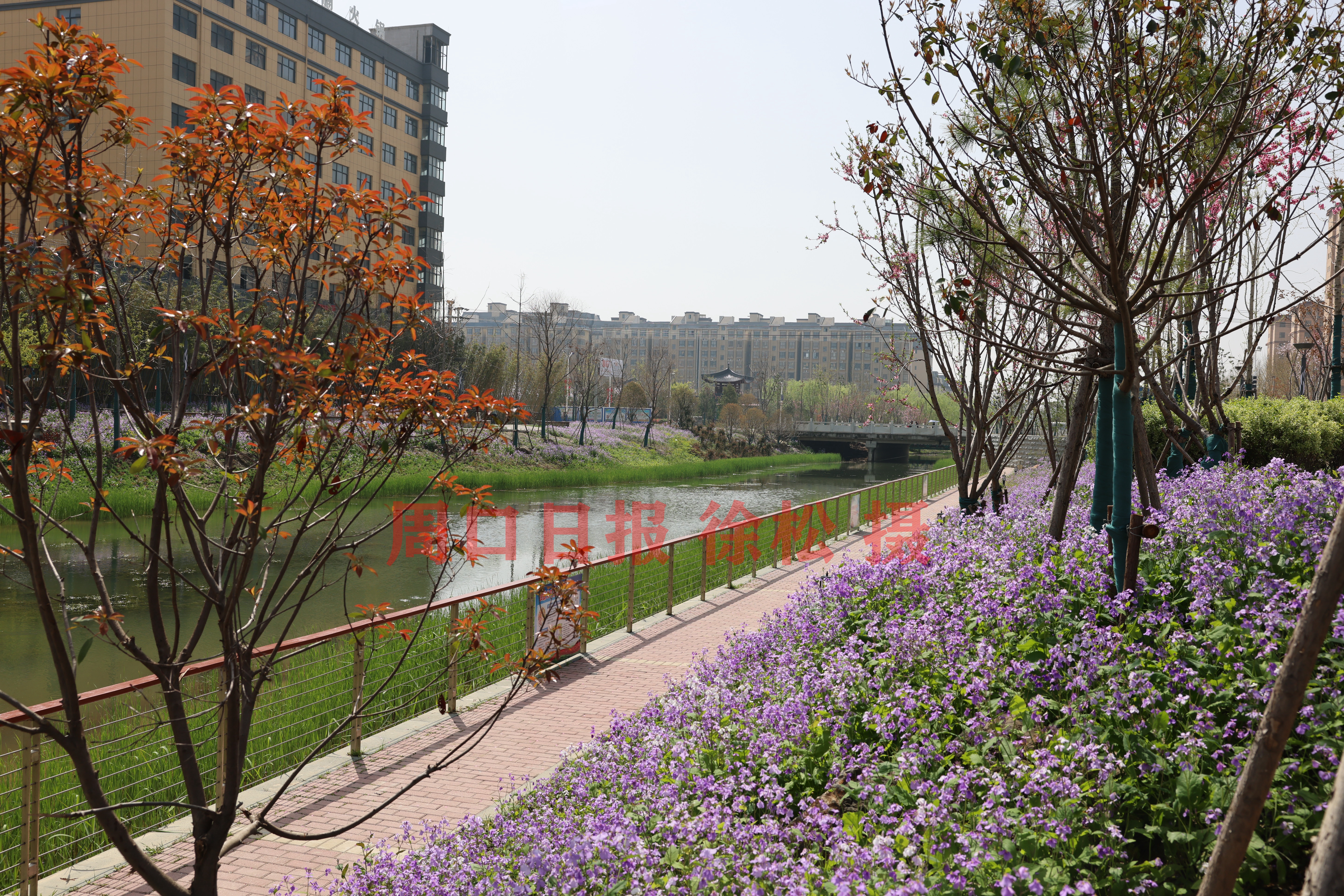 184A0119_副本.jpg 184A0119_副本.jpg