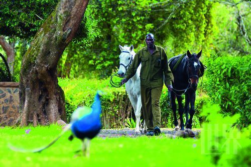 山中野趣樂無窮 山中野趣樂無窮
