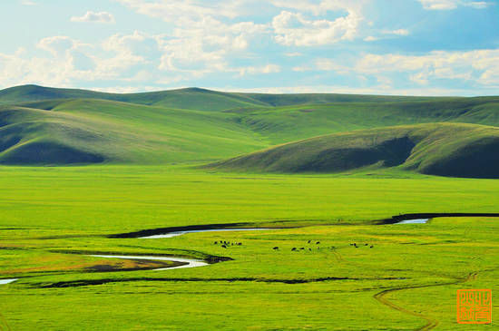 新浪旅游配圖:美麗的草原 攝影:北角山妖
