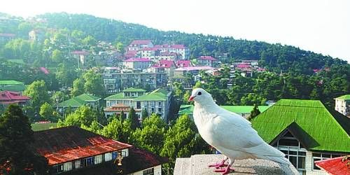  有著“云中山城”之稱的牯嶺鎮(zhèn)面臨著遷民下山。